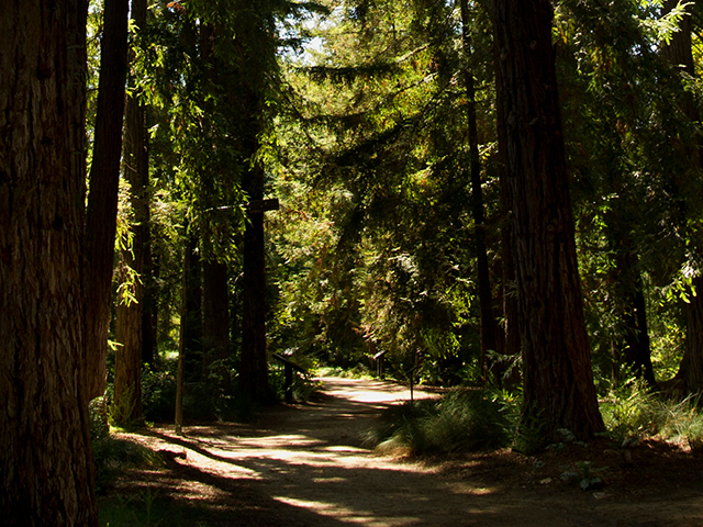 Path to retirement