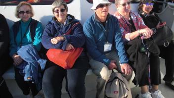 Whale Watching