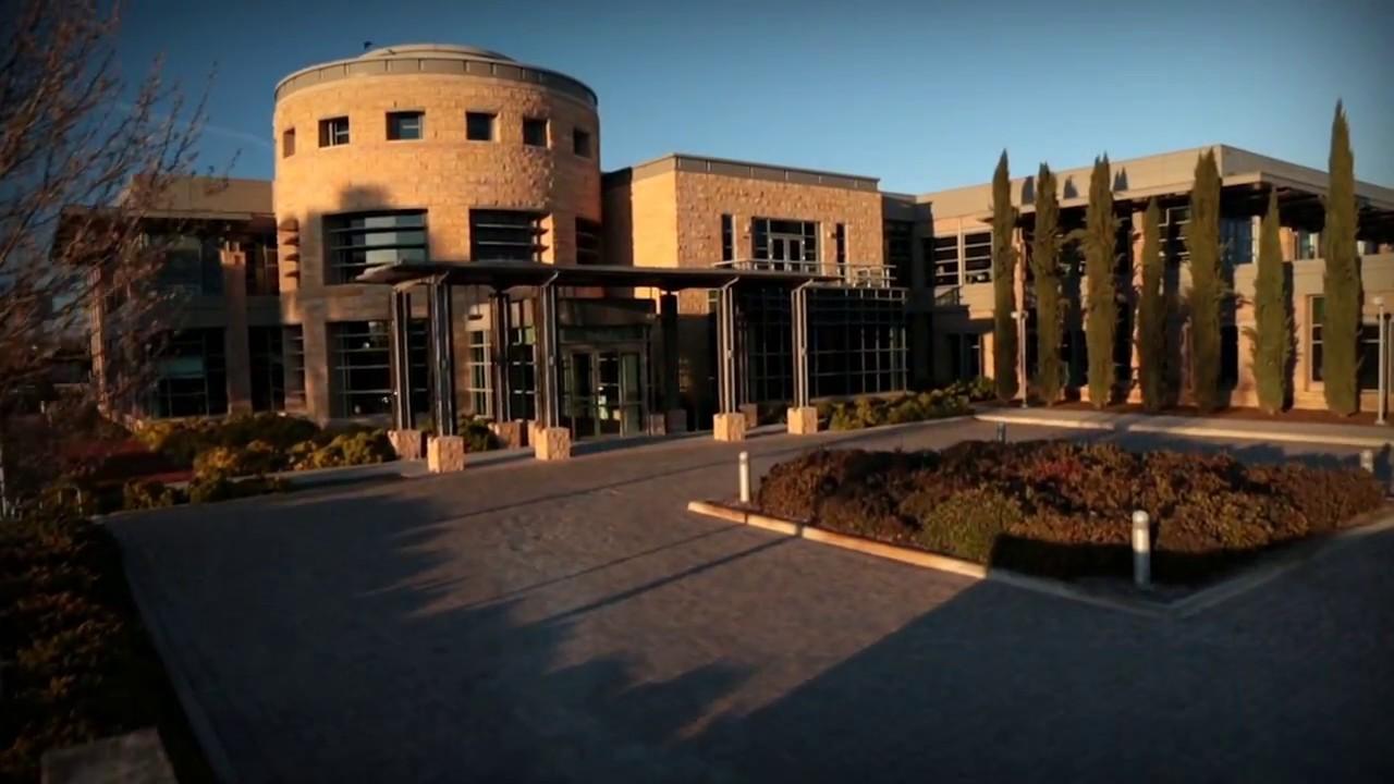 Mind Institute