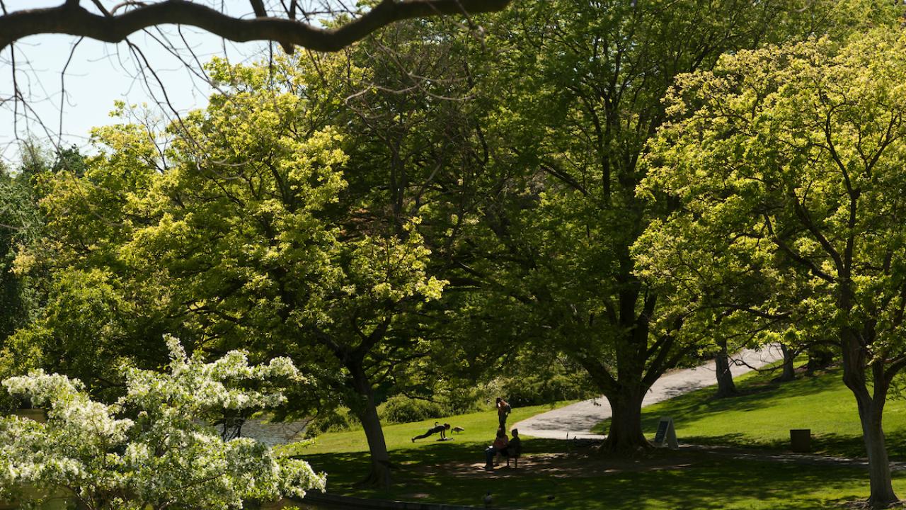 Arboretum